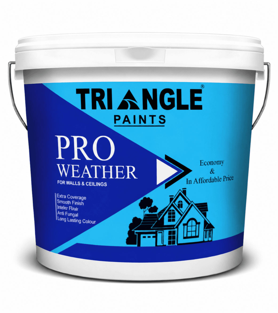 Triangle Paints Pro Weather bucket